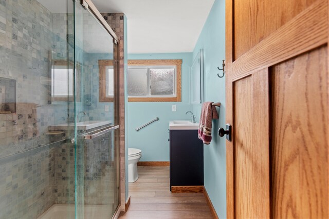 bathroom featuring toilet, vanity, wood-type flooring, and a shower with door