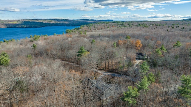 bird's eye view featuring a water and mountain view