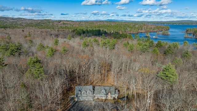 birds eye view of property with a water and mountain view