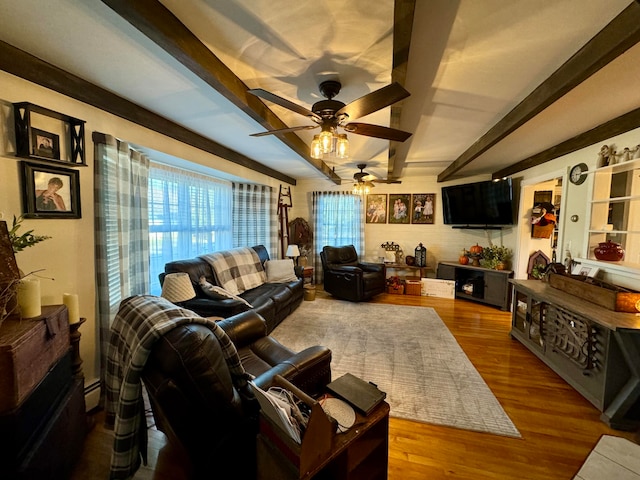 living room featuring hardwood / wood-style floors, ceiling fan, beam ceiling, and a baseboard radiator