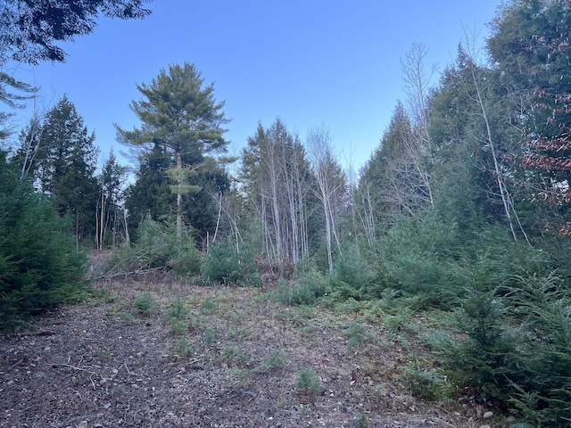 5 Bog Brook Loop, West Paris ME, 04289 land for sale