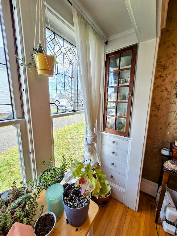 doorway to outside featuring light wood-type flooring and crown molding