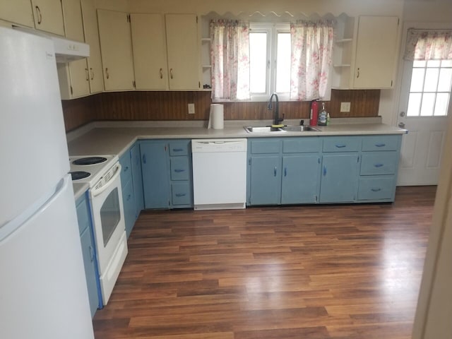 kitchen featuring dark hardwood / wood-style flooring, sink, a healthy amount of sunlight, and white appliances