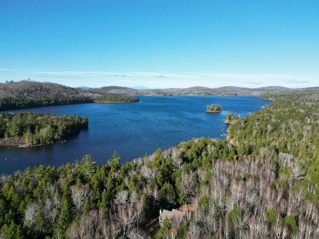 586 Webb Cove Dr, Enfield, ME 04493 - photo 40