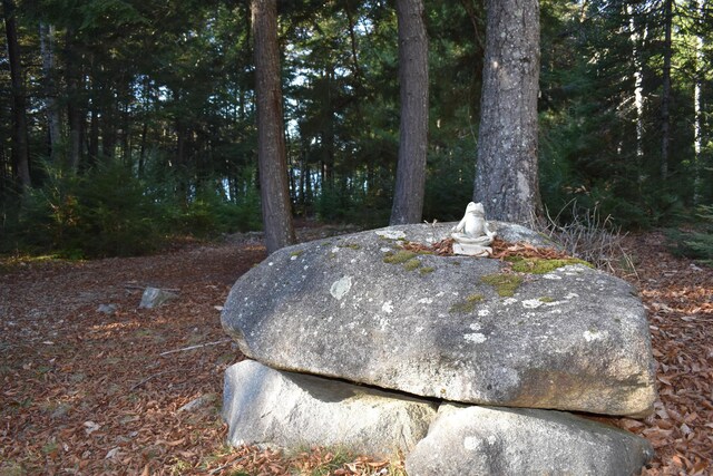 586 Webb Cove Dr, Enfield, ME 04493 - photo 47