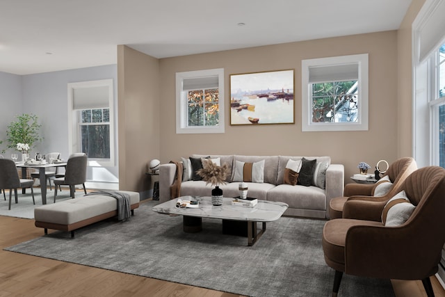 living room featuring wood-type flooring