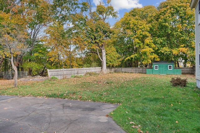 view of yard with a patio area and a shed