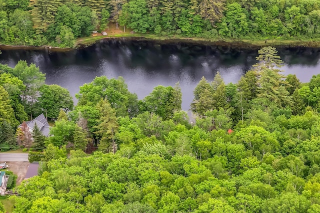 381 Great Moose Dr, Hartland, ME 04943 - photo 2