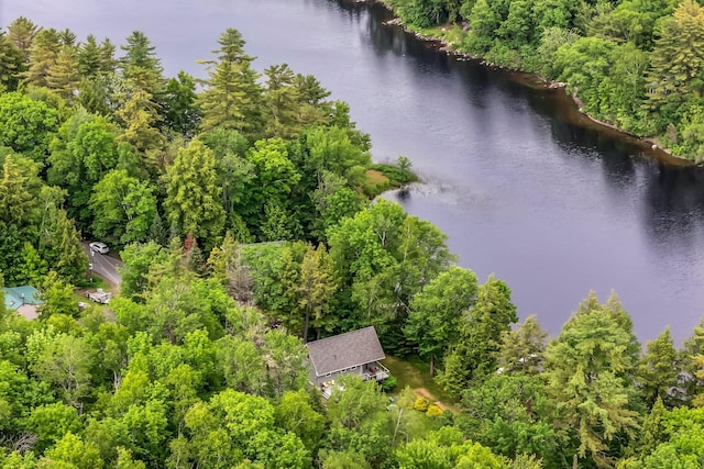 381 Great Moose Dr, Hartland, ME 04943 - photo 3