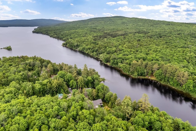 381 Great Moose Dr, Hartland, ME 04943 - photo 4