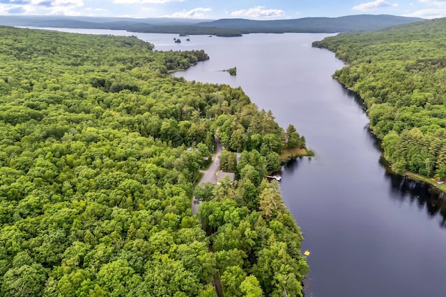 381 Great Moose Dr, Hartland, ME 04943 - photo 5