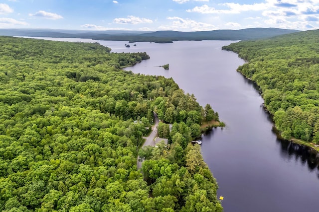 381 Great Moose Dr, Hartland, ME 04943 - photo 6