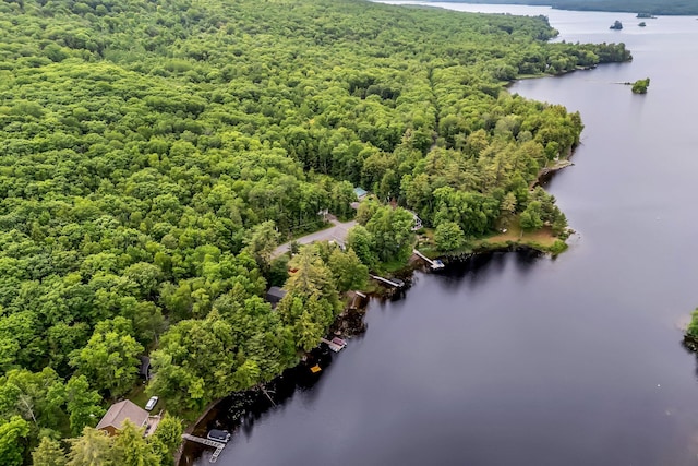 381 Great Moose Dr, Hartland, ME 04943 - photo 8