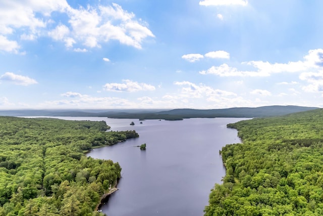 381 Great Moose Dr, Hartland, ME 04943 - photo 9