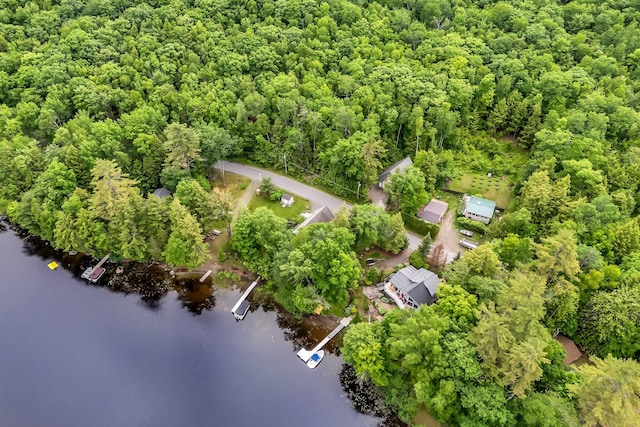381 Great Moose Dr, Hartland, ME 04943 - photo 10