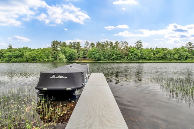 381 Great Moose Dr, Hartland, ME 04943 - photo 51