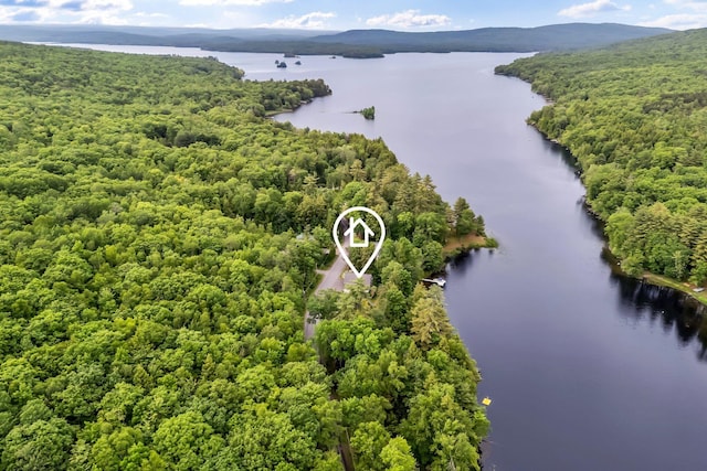 381 Great Moose Dr, Hartland, ME 04943 - photo 67