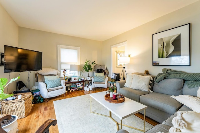 living room featuring hardwood / wood-style floors