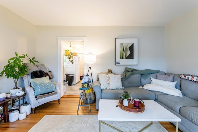 living room featuring hardwood / wood-style flooring