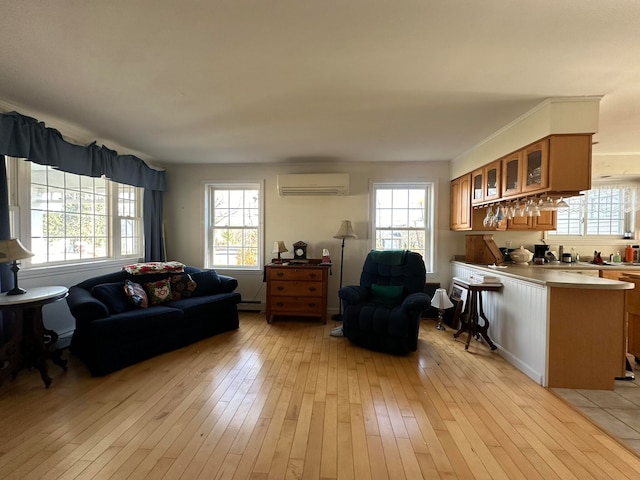 living room featuring a baseboard radiator, an AC wall unit, and light hardwood / wood-style flooring