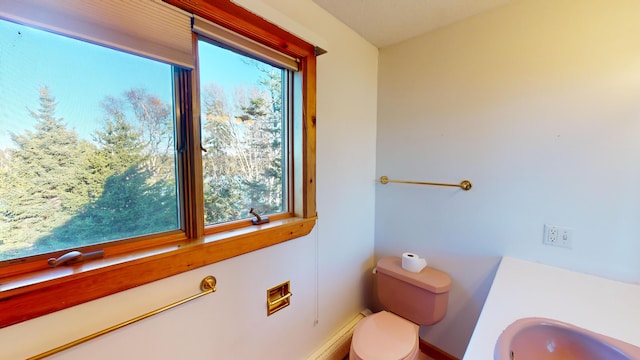 bathroom featuring toilet, a wealth of natural light, and sink