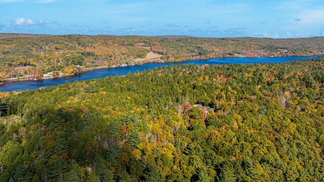 0 Marshall Shore Rd, Liberty, ME 04949 - photo 9