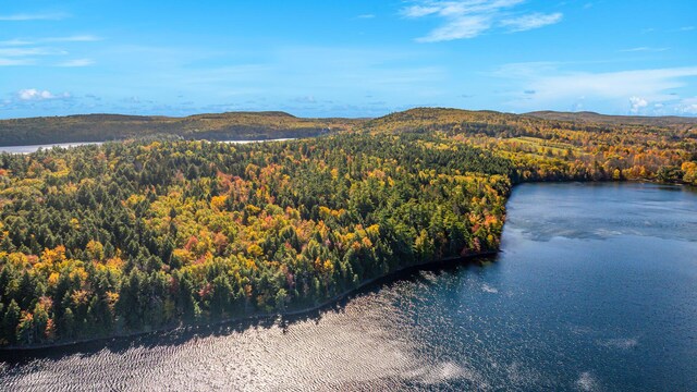 0 Marshall Shore Rd, Liberty, ME 04949 - photo 4