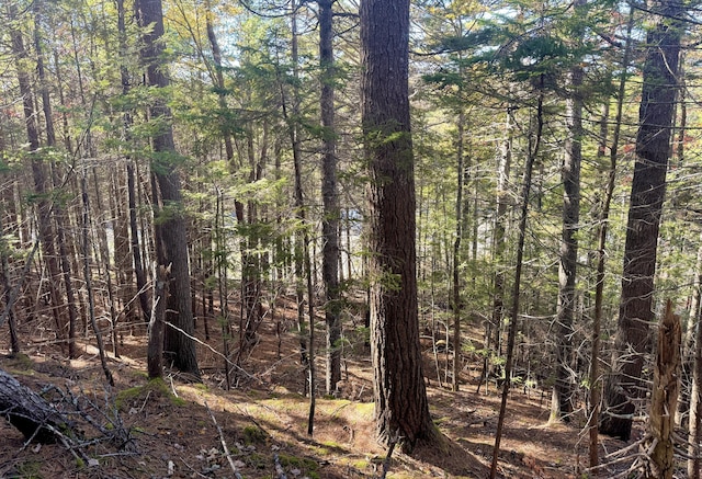 WESTLOT3 Mountain Rd, West Bath, ME 04530