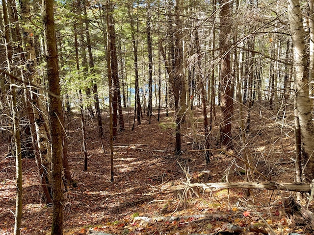 WESTLOT3 Mountain Rd, West Bath, ME 04530