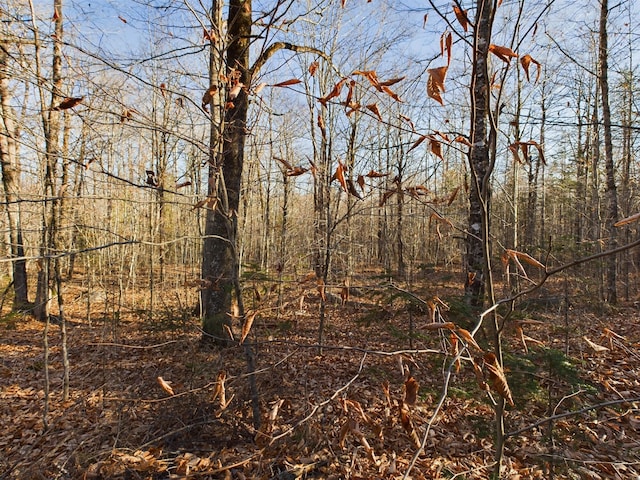 view of nature