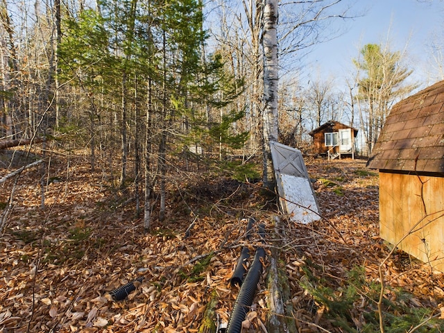 view of yard featuring a storage shed