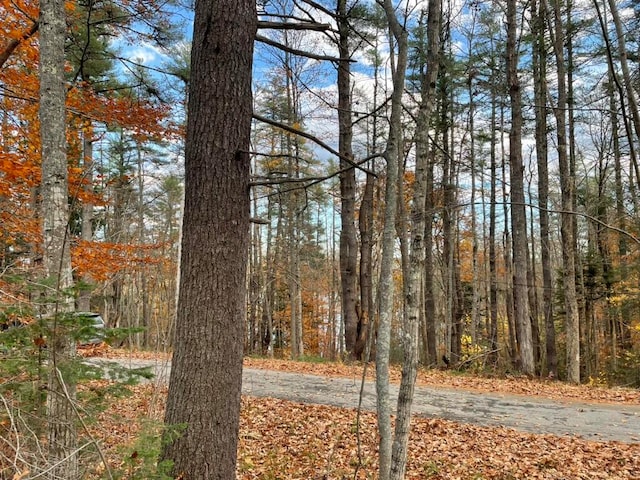 Listing photo 3 for LOT21 Old Sheepscot Rd, Alna ME 04535