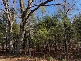 P/OMR7L73 Old Bath Rd, Wiscasset, ME 04578