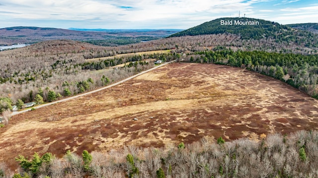 MAP1LOT22 Bald Mountain Rd, Dedham ME, 04429 land for sale