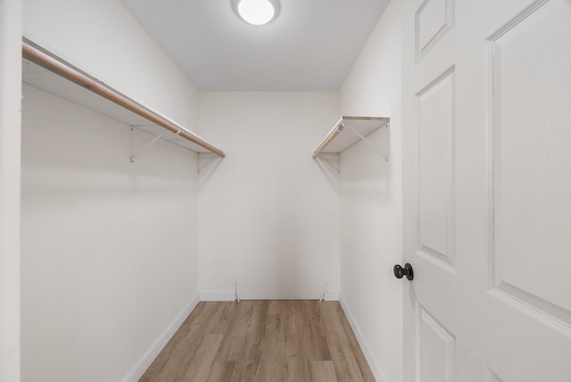 walk in closet with light wood-type flooring