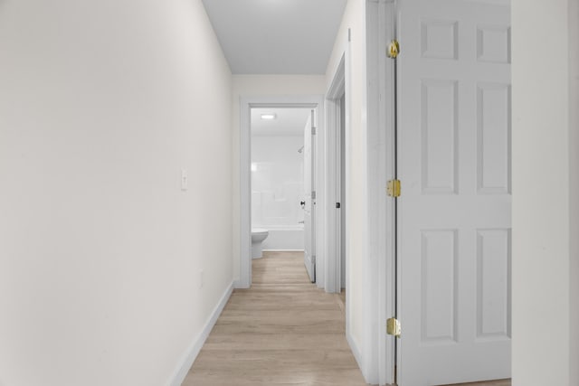 hall with light hardwood / wood-style flooring