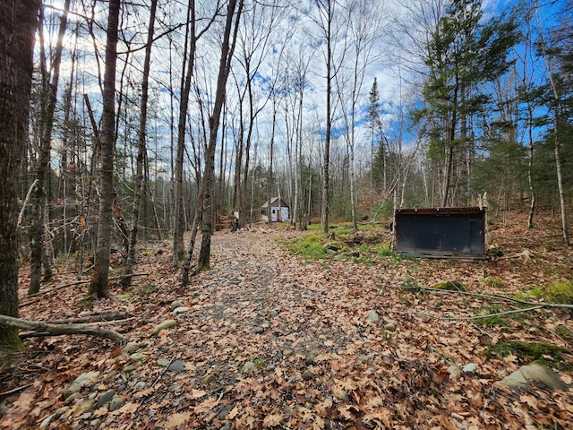 view of yard with an outdoor structure