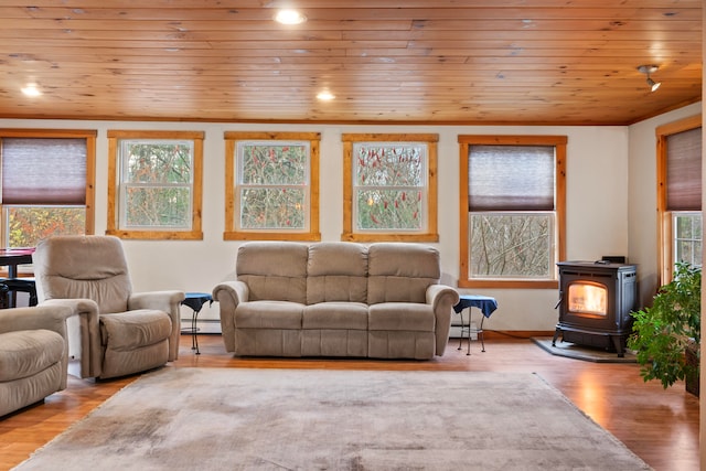 living room with a wood stove, a wealth of natural light, and light hardwood / wood-style flooring