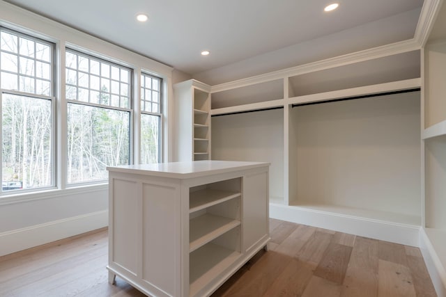 spacious closet with light wood-type flooring