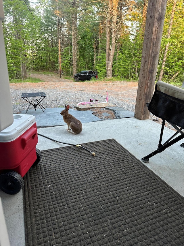 340 Barnard Rd, Barnard Twp, ME 04414 - photo 32