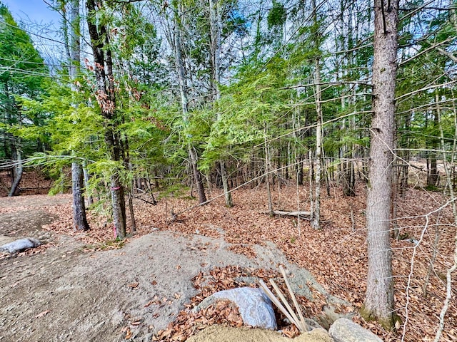 view of local wilderness