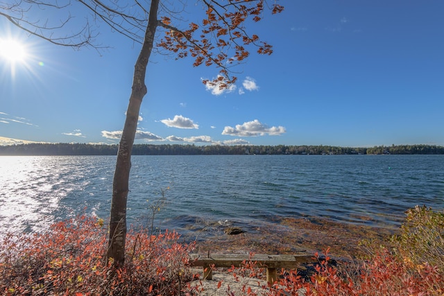 117 Loop Rd, West Bath, ME 04530 - photo 24