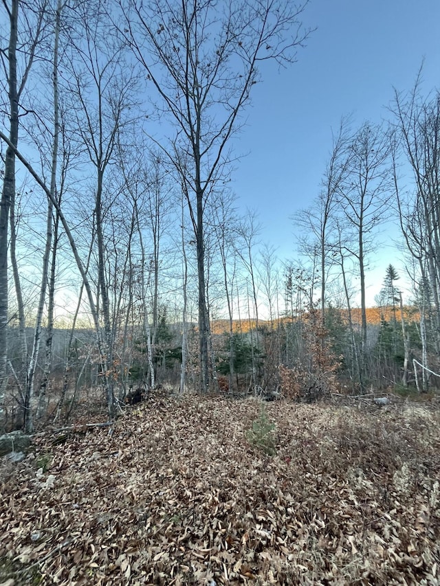 0 Curtis Hill Hts, Woodstock ME, 04219 land for sale