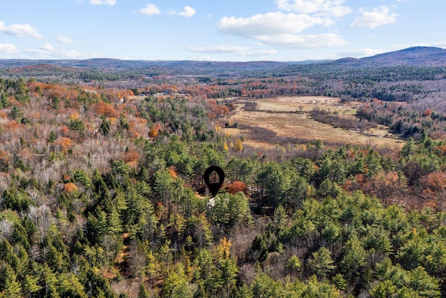 bird's eye view with a mountain view