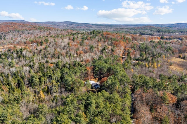 aerial view with a mountain view