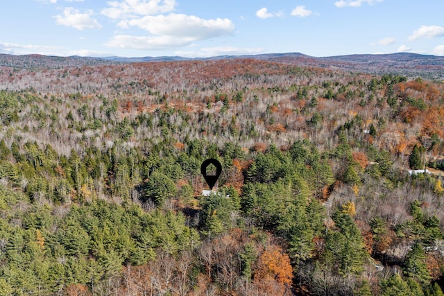 aerial view with a mountain view