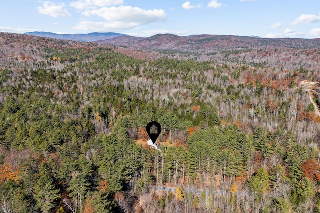 view of mountain feature