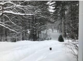 view of yard covered in snow