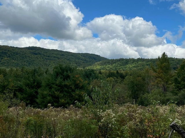 view of mountain feature featuring a forest view