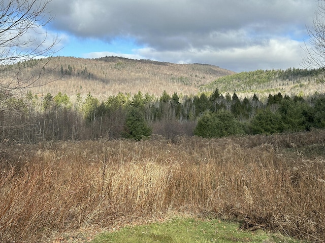 view of mountain feature